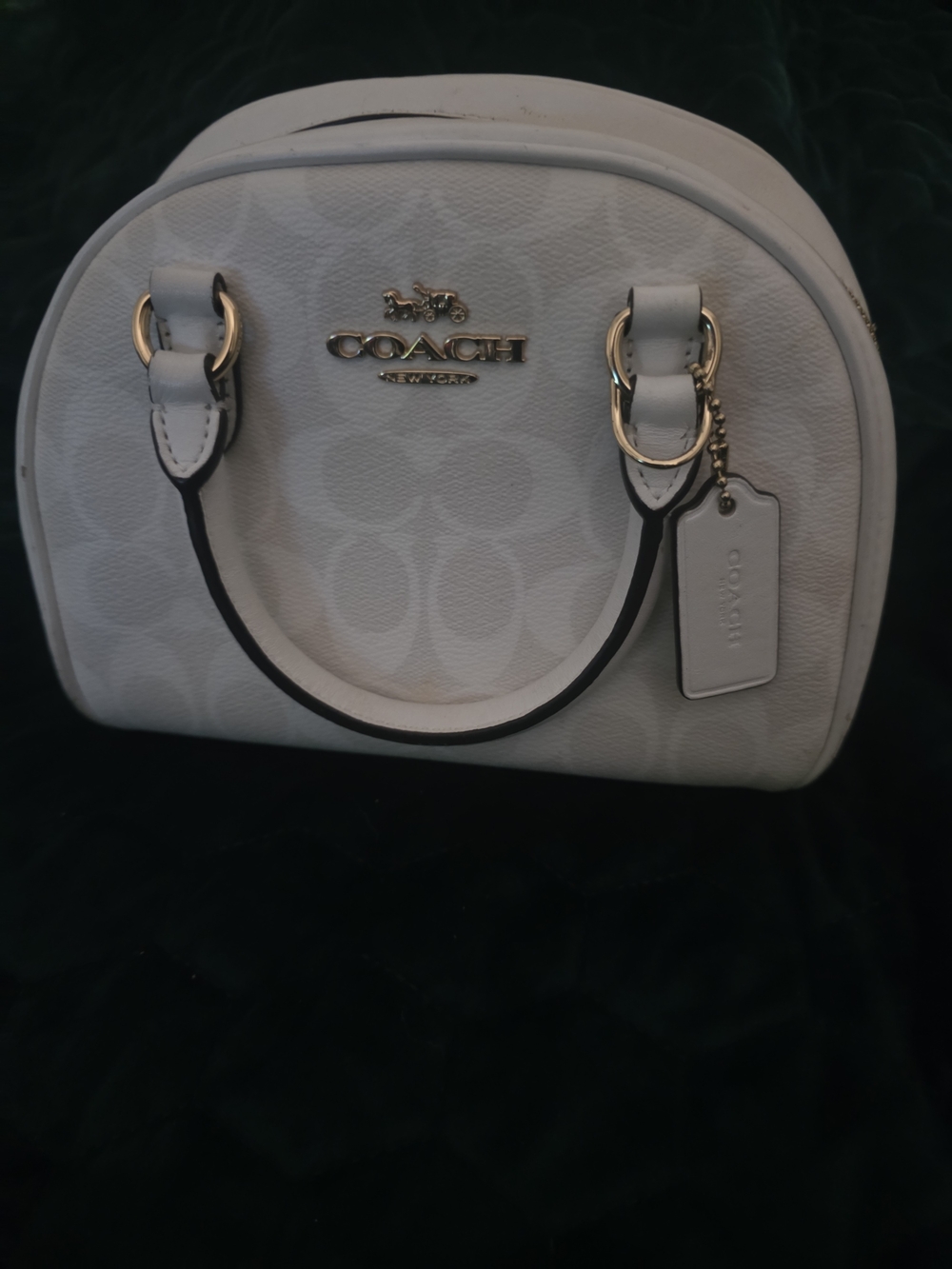Coach Sydney Satchel Glaxier White Signature Dome Satchel Bag Purse